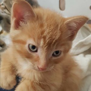 Meet your Posher, Ellie